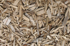 biomass boilers Asserby Turn